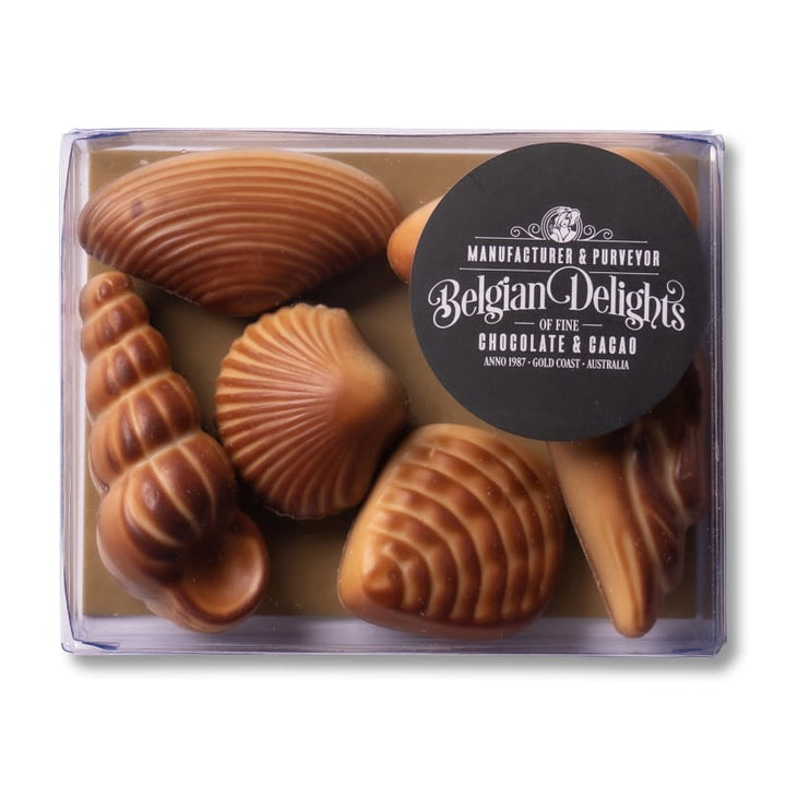 Sea Shell Assorted 6pc